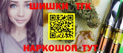 СК Сланцы