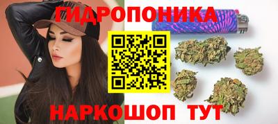 СК Сланцы