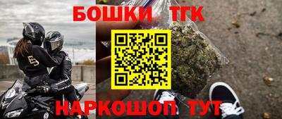 СК Сланцы