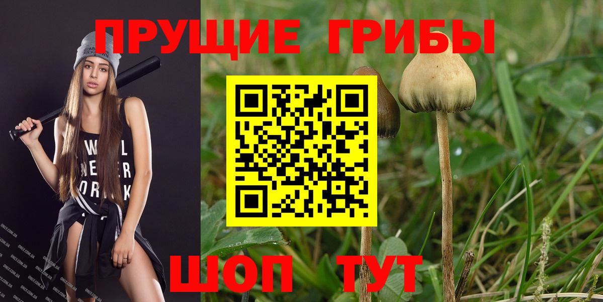 Галлюциногенные грибы прущие грибы Орехово-Зуево