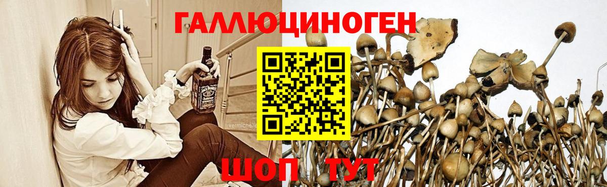 Орехово-Зуево  Псилоцибиновые грибы ЛСД  Вход с VPN  Галлюциногенные грибы GOLDEN TEACHER 